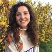 Lezioni di lingua giapponese a tutti i livelli